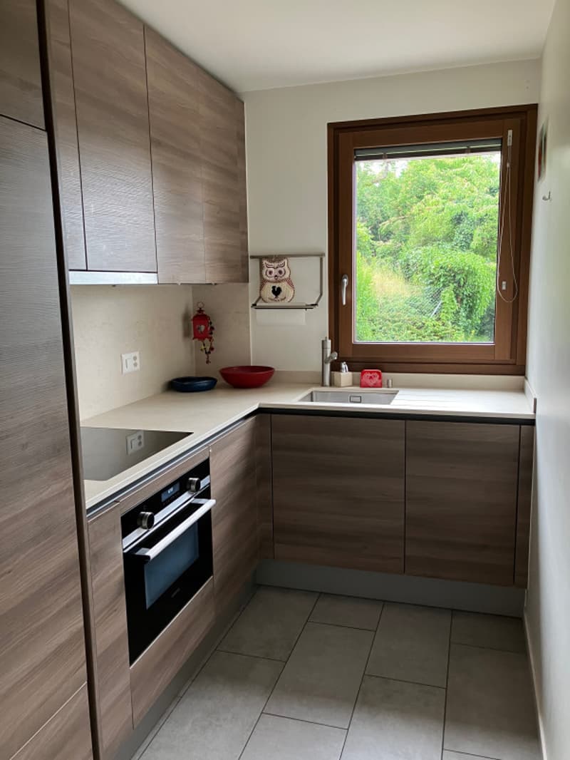Magnifique 2 pièce meublé avec terrasse de 57m2 à deux min du lac/St-Sulpice VD (5)