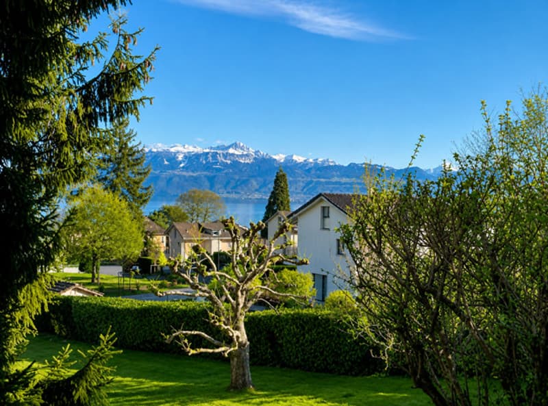 Magnifique 2 pièce meublé avec terrasse de 57m2 à deux min du lac/St-Sulpice VD (2)