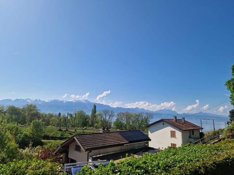 Dernier lot disponible! Démarage des travaux imminent! Magnifique 4,5 pièces (1)