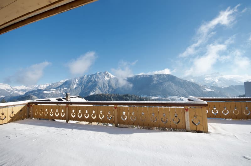 3,5 pièces | Rez-de-chaussée - Terrasse & Jardin - Vue panoramique (11)