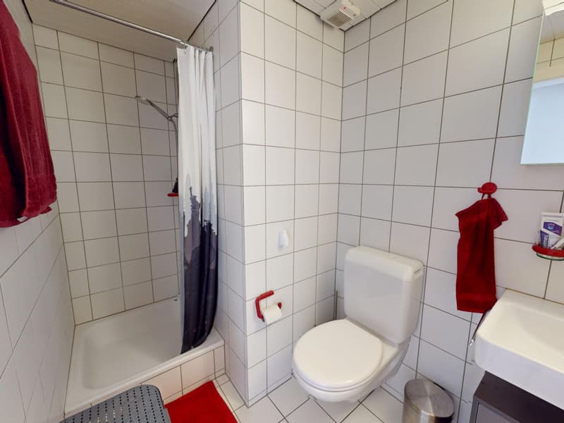 Studio avec mezzanine, idéal pour investisseur (11)