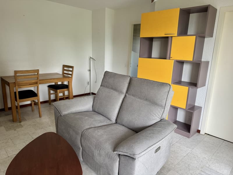 Magnifique 2 pièce meublé avec terrasse de 57m2 à deux min du lac/St-Sulpice VD (7)