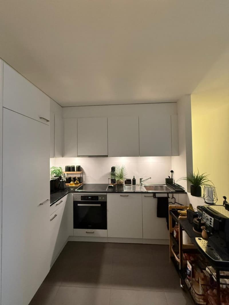 Sous-location meublée à Morges - 3,5 pièces avec parking (5)