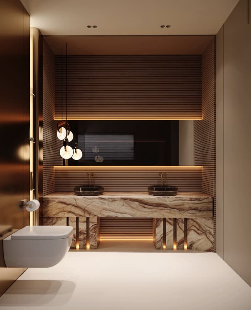 Deluxe edition, magnifique villa, prestations Luxe(La Capite-Cologny-Choulex) (9)