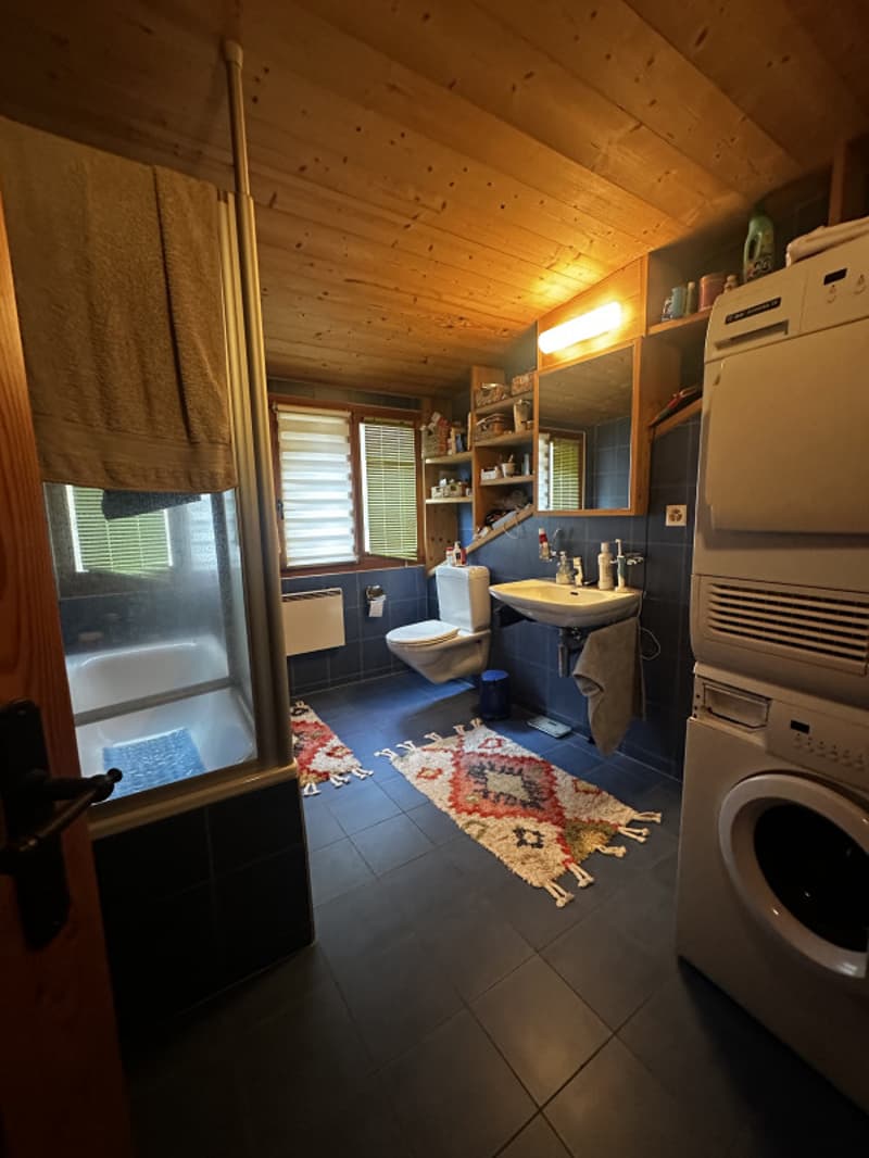 A vendre : Splendide immeuble de rendement sur Martigny (7)