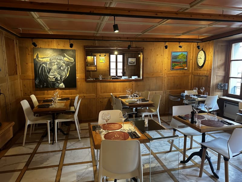 A vendre : Splendide immeuble de rendement sur Martigny (1)