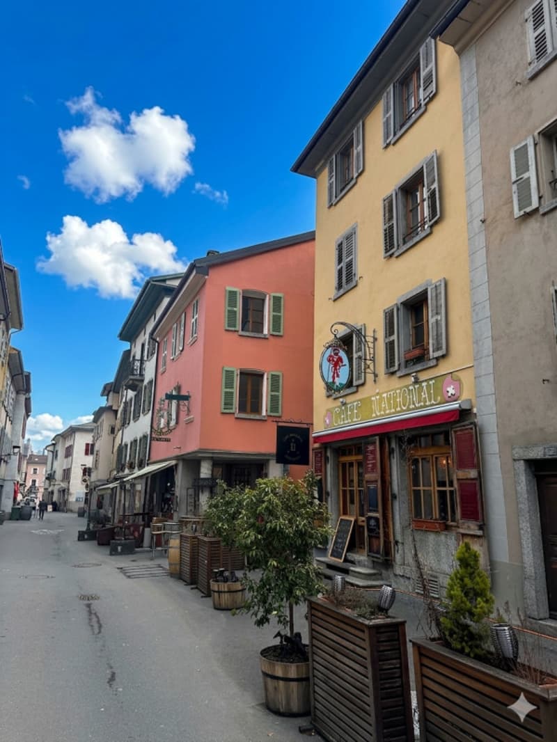 A vendre : Splendide immeuble de rendement sur Martigny (4)