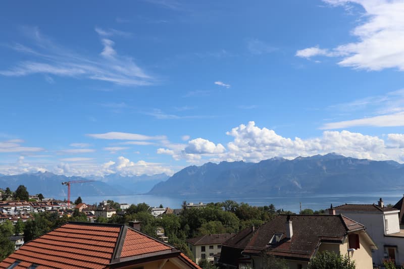 Villa individuelle de 6 pièces avec studio indépendant (5)