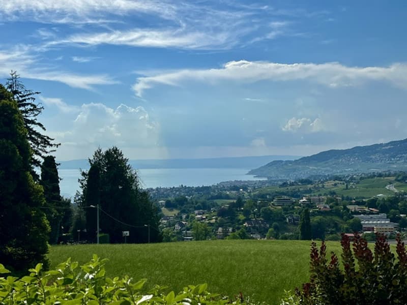 Belle et très spacieuse villa d'architecte, 12 pces, 2800 m2 terrain intimiste, (13)