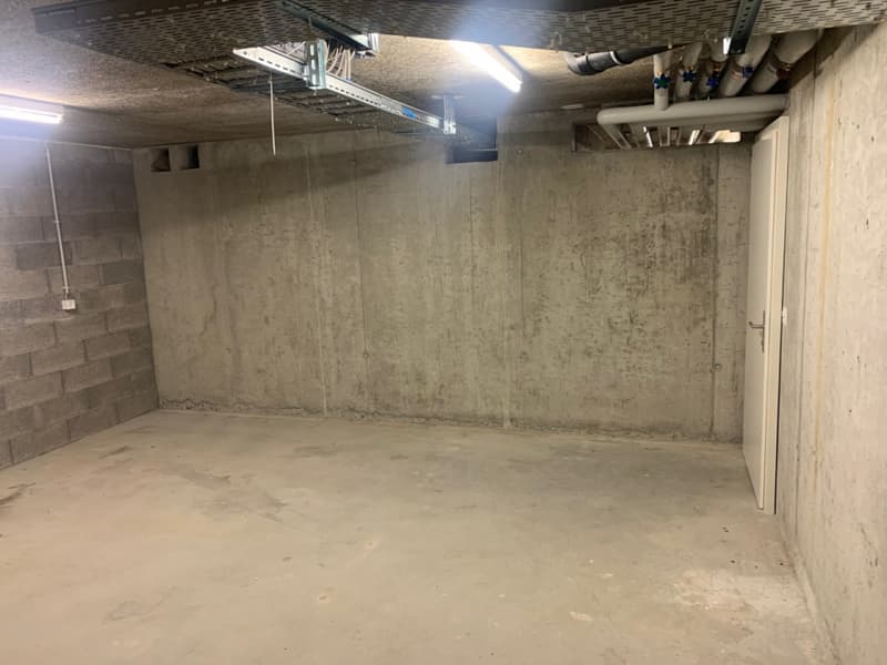 Grand Local de stockage de 28m2 (1)