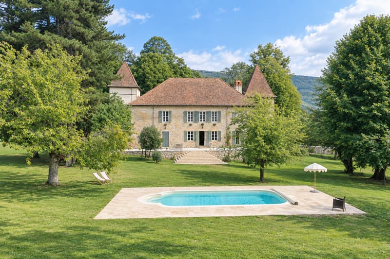 Chateau du XII siècle à 45 min. de Genève (1)