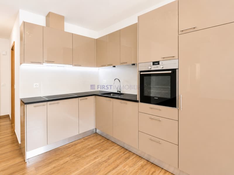 Villars - Chesières - PPE LOT L - CHF 410'000.- (3)