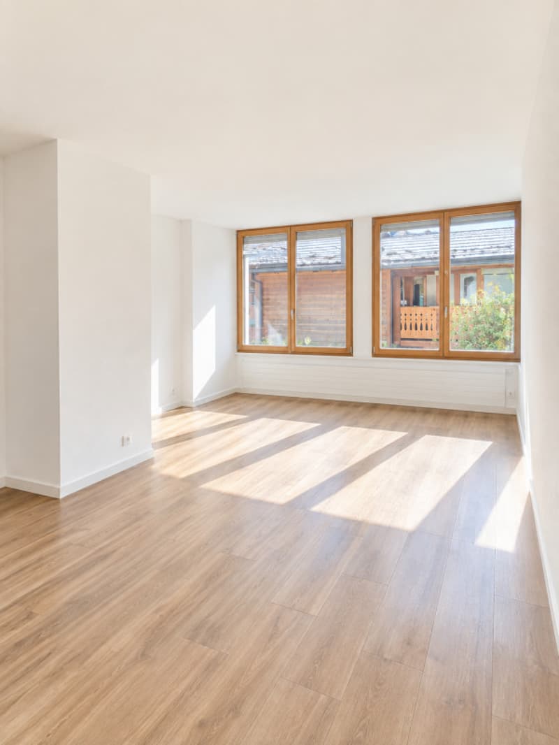 Villars - Chesières - PPE LOT M - CHF 345'000.- (3)