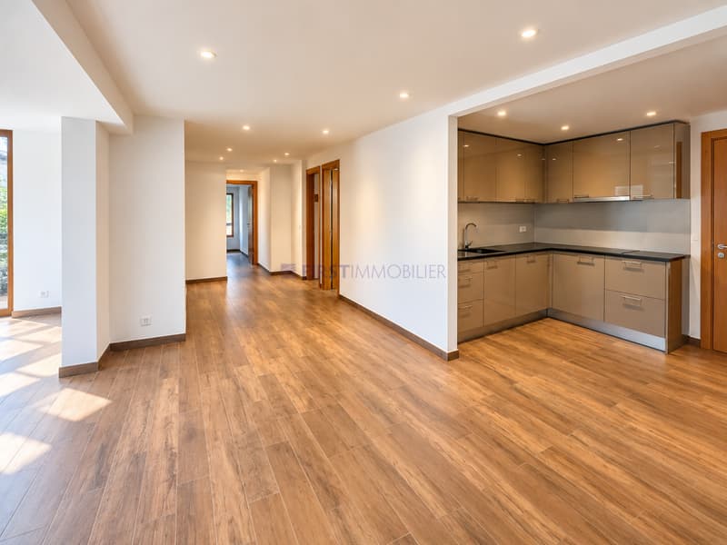Villars - Chesières - PPE LOT P - CHF 585''000.- (1)