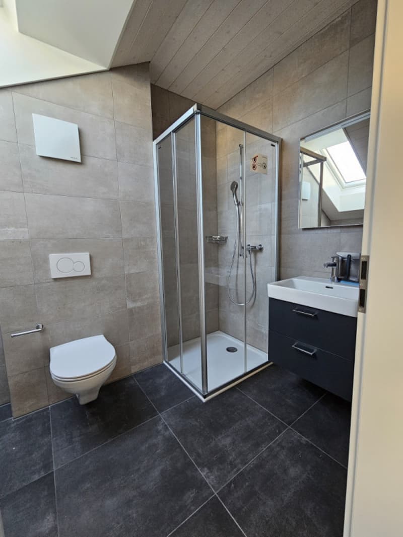 Magnifique appartement de 4.5 pièces (5)
