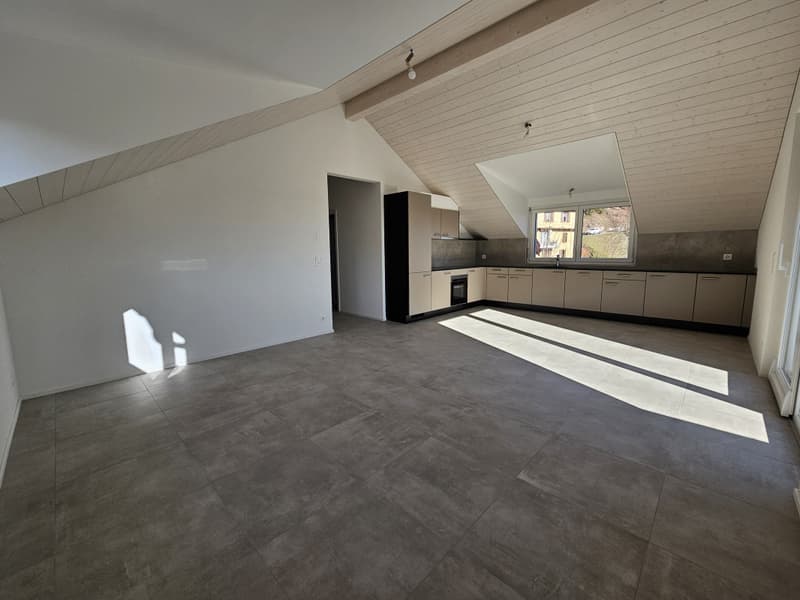 Magnifique appartement de 4.5 pièces (3)