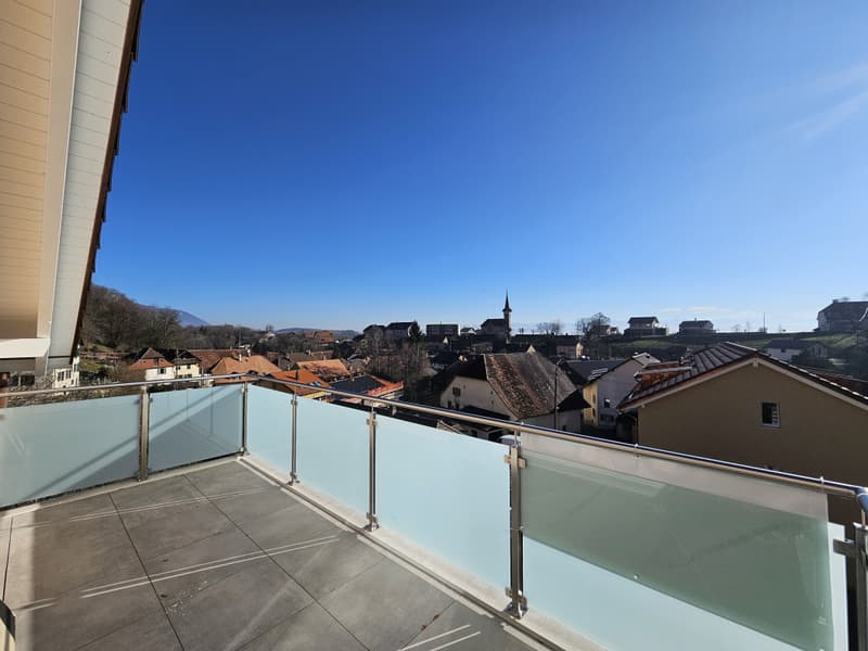 Magnifique appartement de 4.5 pièces (1)