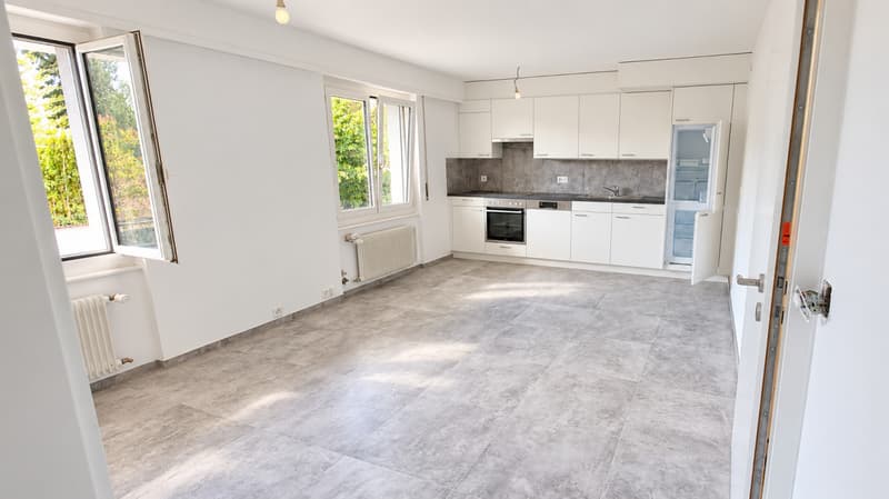 À louer - Joli appartement de 2 pièces entièrement rénové (1)