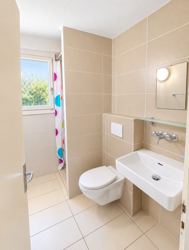 À louer - Joli appartement de 2 pièces entièrement rénové (3)