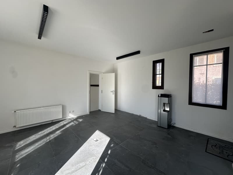En exclusivité à Rolle - Villa individuelle avec grand jardin, proche gare (2)