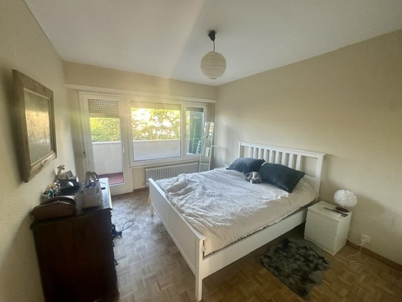 Appartement traversant lumineux, vue Alpes et lac. (3)