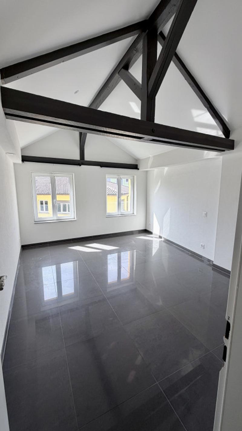 Charmant appartement de 2 pièces rénové au coeur de Fribourg (3)