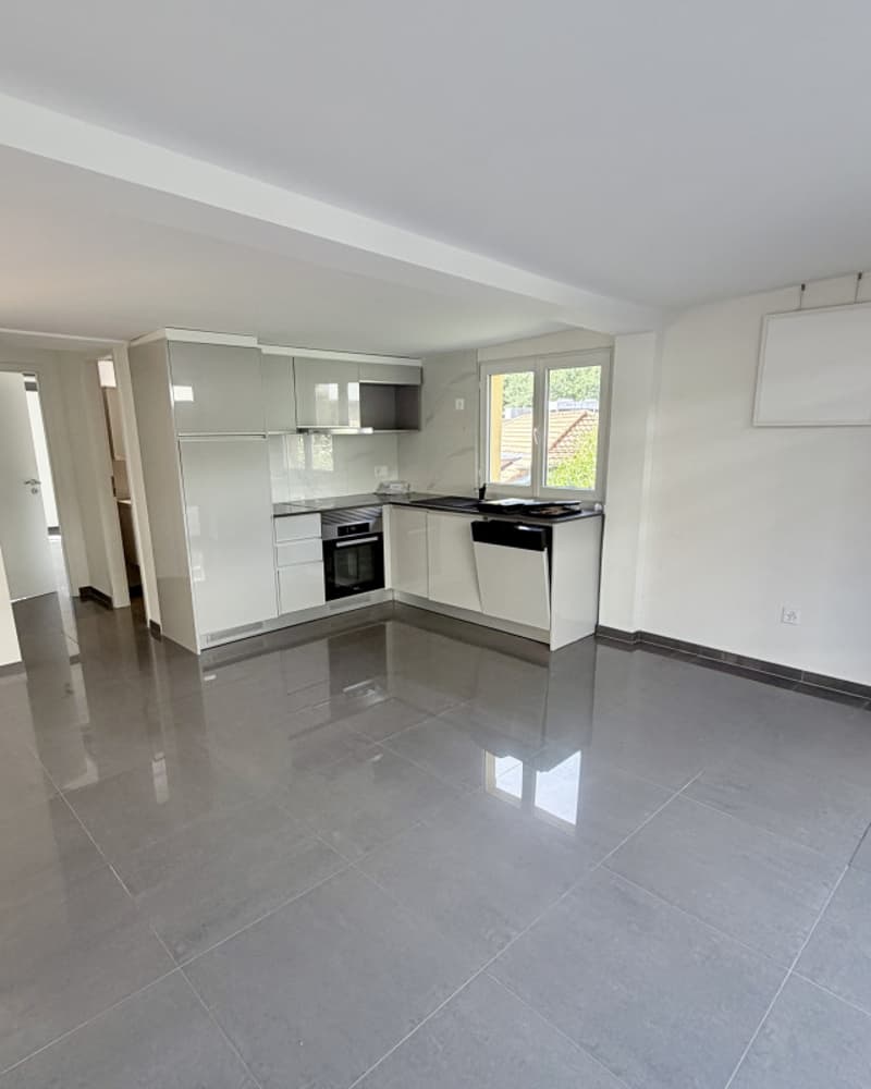 Charmant appartement de 2 pièces rénové au coeur de Fribourg (6)