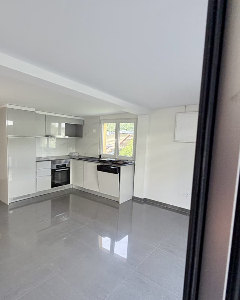 Charmant appartement de 2 pièces rénové au coeur de Fribourg (7)