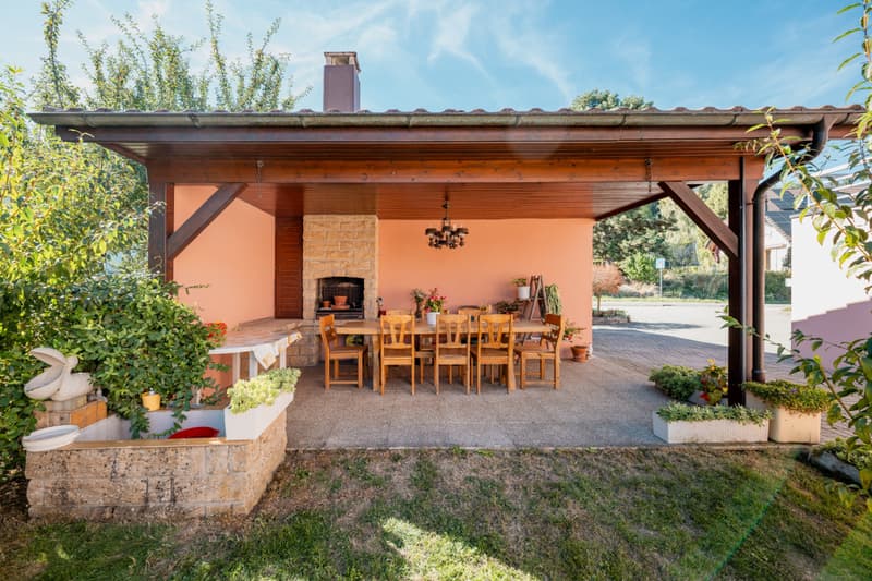 EXCLUSIVITE IMMO2Z : Villa individuelle de 6.5 pces avec appartement indépendant (3)