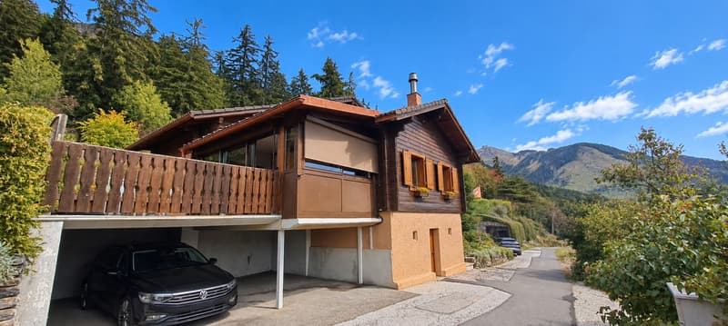 À LOUER : Chalet au Mayen de la Zour - charme, calme et magnifique vue (2)