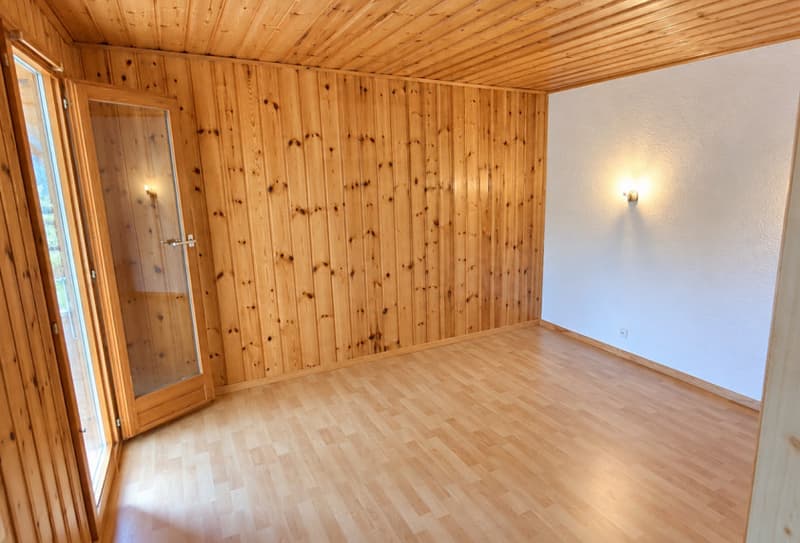 À LOUER : Chalet au Mayen de la Zour - charme, calme et magnifique vue (10)