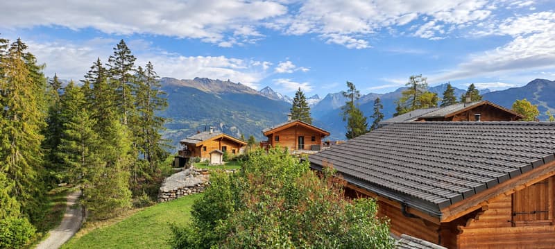 À LOUER : Chalet au Mayen de la Zour - charme, calme et magnifique vue (1)