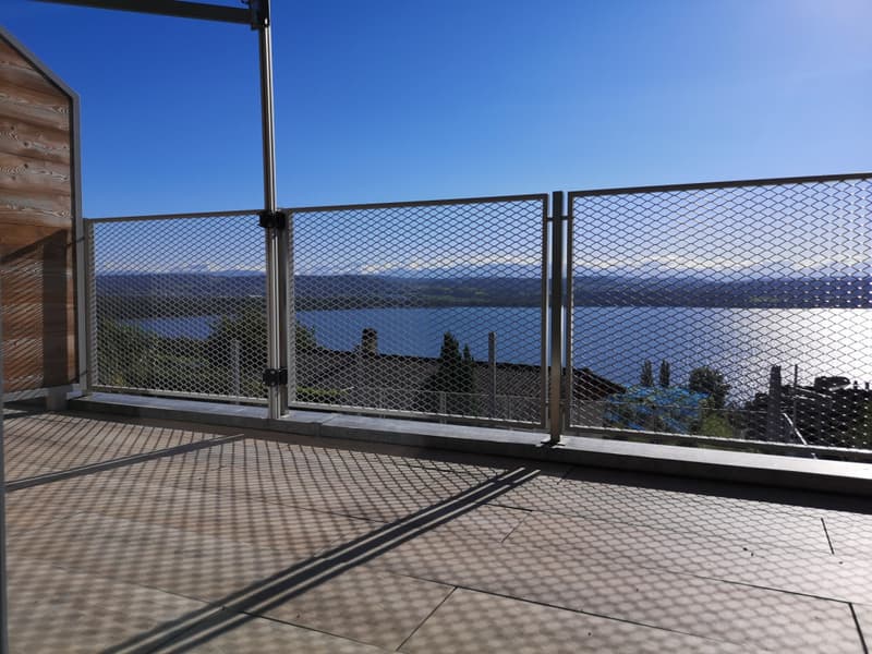 Magnifique duplex de standing avec vue imprenable sur le lac de Morat (2)