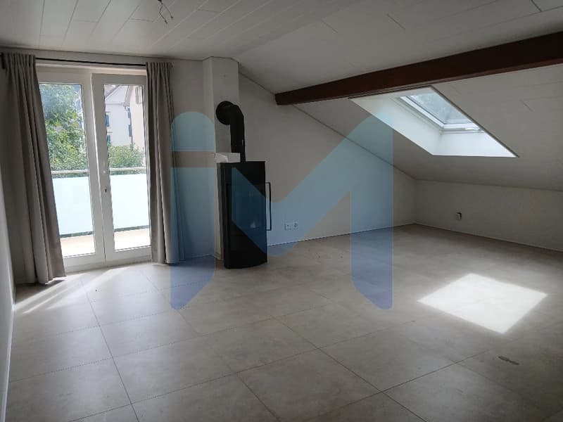 appartement 2.5 pces avec grande terrasse (8)