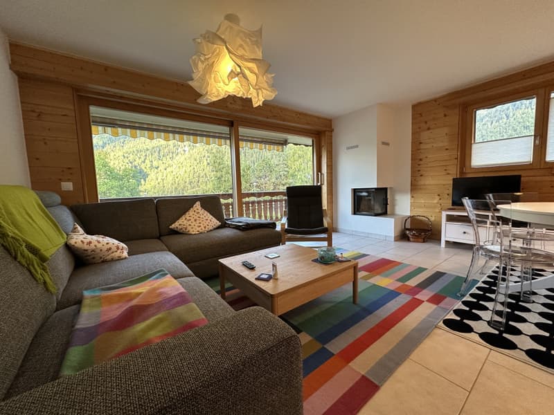 OVRONNAZ - Appartement meublé de 3.5 pièces avec vue imprenable (2)