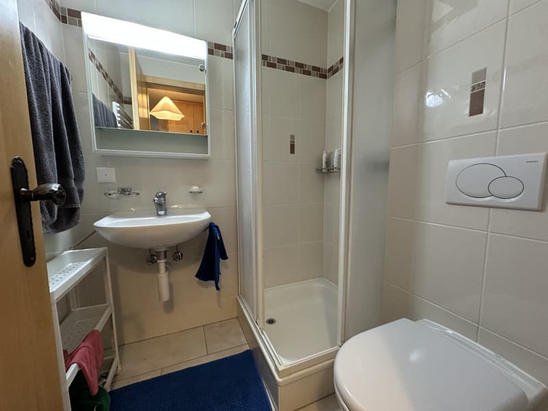 OVRONNAZ - Appartement meublé de 3.5 pièces avec vue imprenable (6)