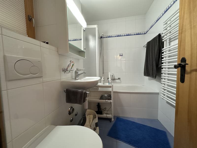 OVRONNAZ - Appartement meublé de 3.5 pièces avec vue imprenable (5)