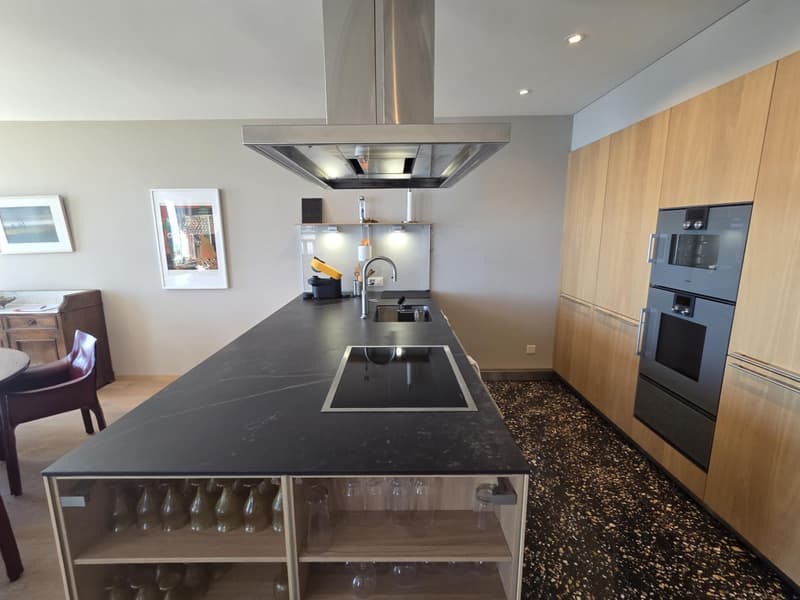 A Louer à Nyon - Appartement d'exception meublé au bord du lac (3)