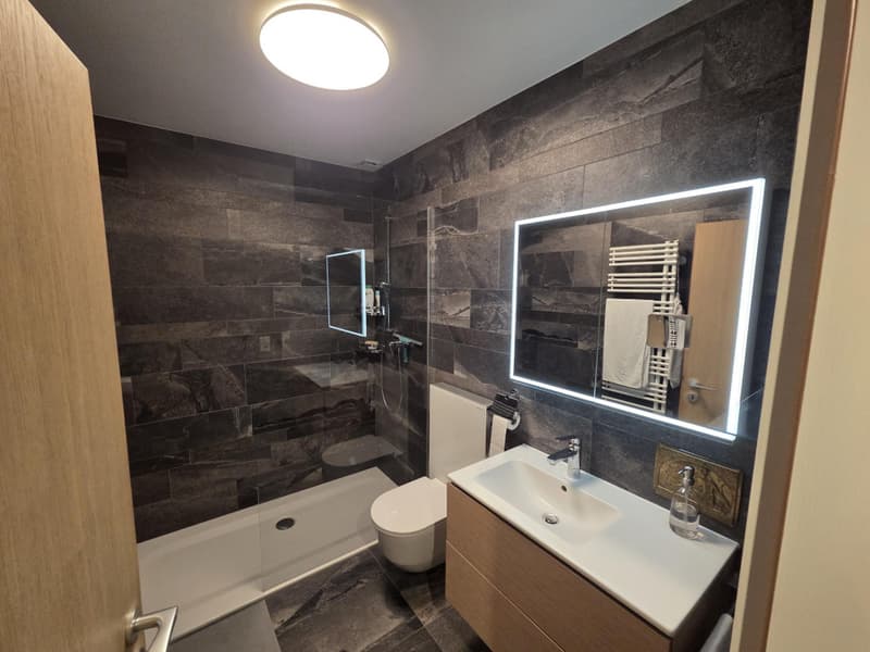 A Louer à Nyon - Appartement d'exception meublé au bord du lac (6)