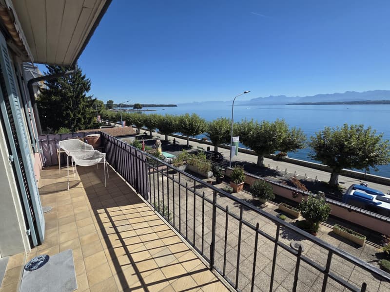 A Louer à Nyon - Appartement d'exception meublé au bord du lac (7)