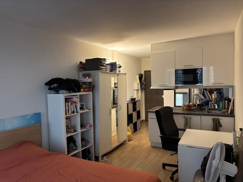 Agréable studio meublé zone Plainpalais/Hôpitaux HUG (1)