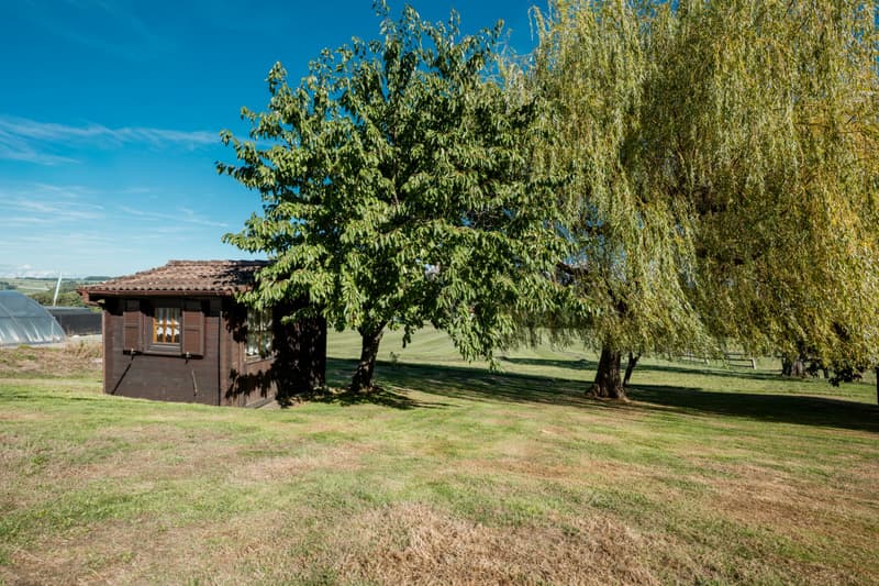 EXCLUSIVITE IMMO2Z: Villa individuelle de 6.5 pces avec appartement de rendement (10)