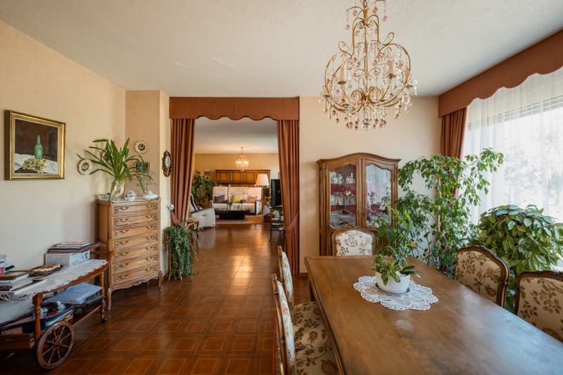 EXCLUSIVITE IMMO2Z: Villa individuelle de 6.5 pces avec appartement de rendement (6)
