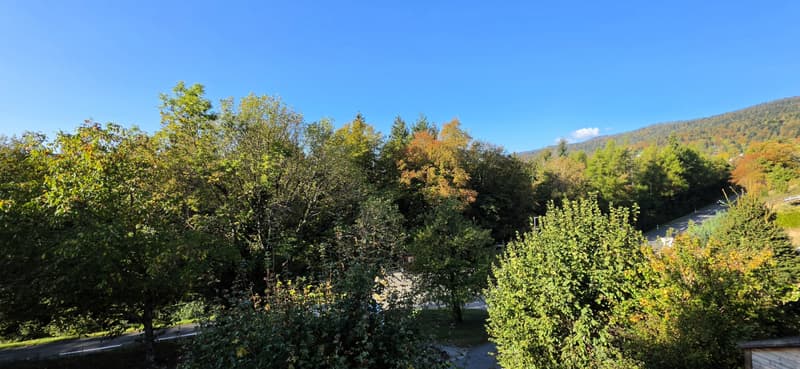 Vue