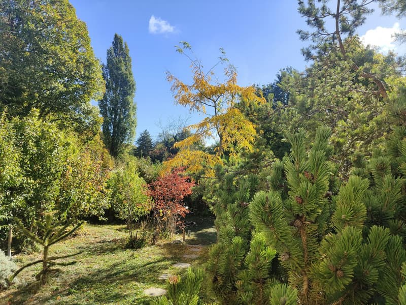Jardin