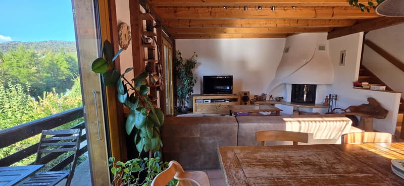 Villa jumelle 5.5 pièces avec jardin de 600 m² - Saint-George (3)