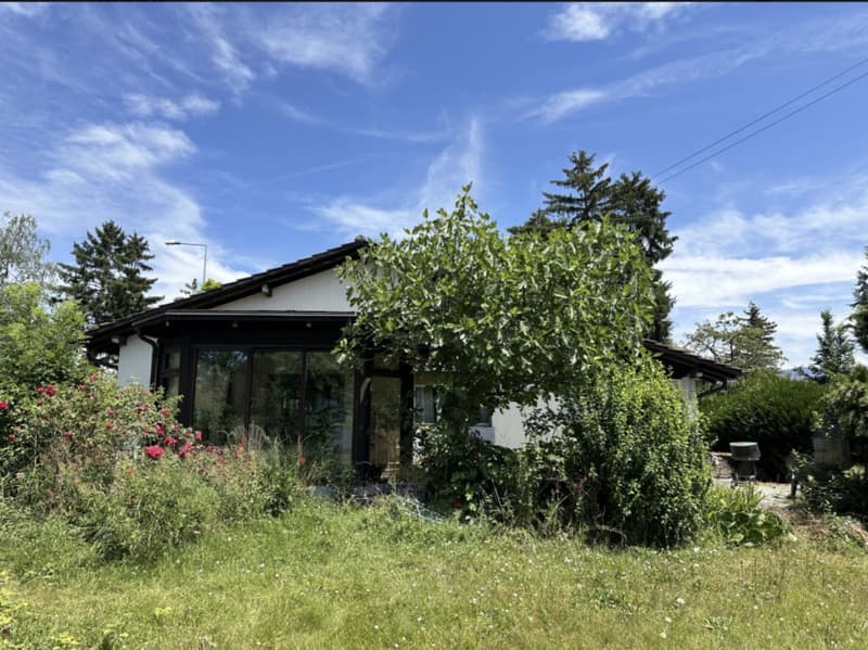 Maison à louer 5 pièces Thônex (6 mois) Pas d'agences ! (6)