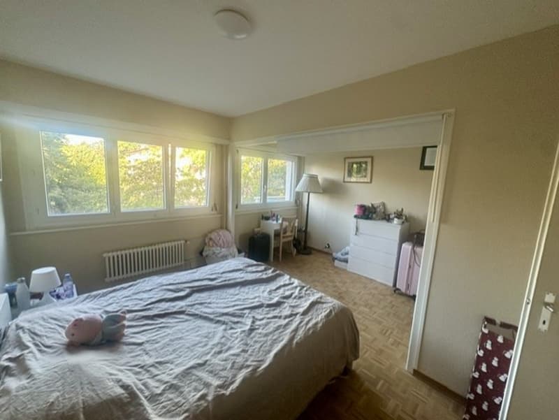 Appartement traversant lumineux, vue Alpes et lac !! (5)