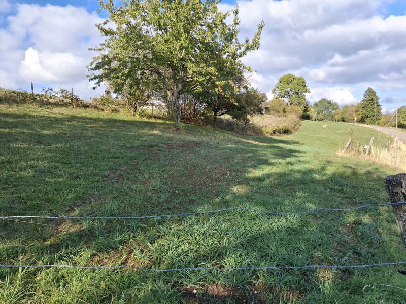 Maison de campagne au calme avec grand terrain (4)
