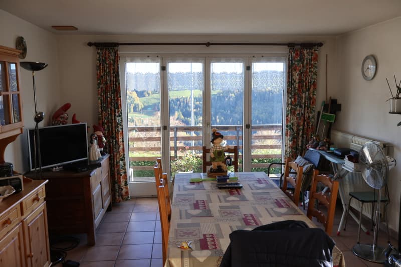 Maison de campagne au calme avec grand terrain (7)